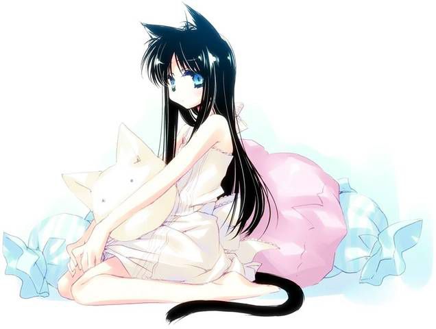 [56 pieces] A collection of eroticism fetishism images of two dimensions, the cat ear girl. 5 [cat ear] 51