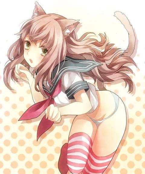 [56 pieces] A collection of eroticism fetishism images of two dimensions, the cat ear girl. 5 [cat ear] 7
