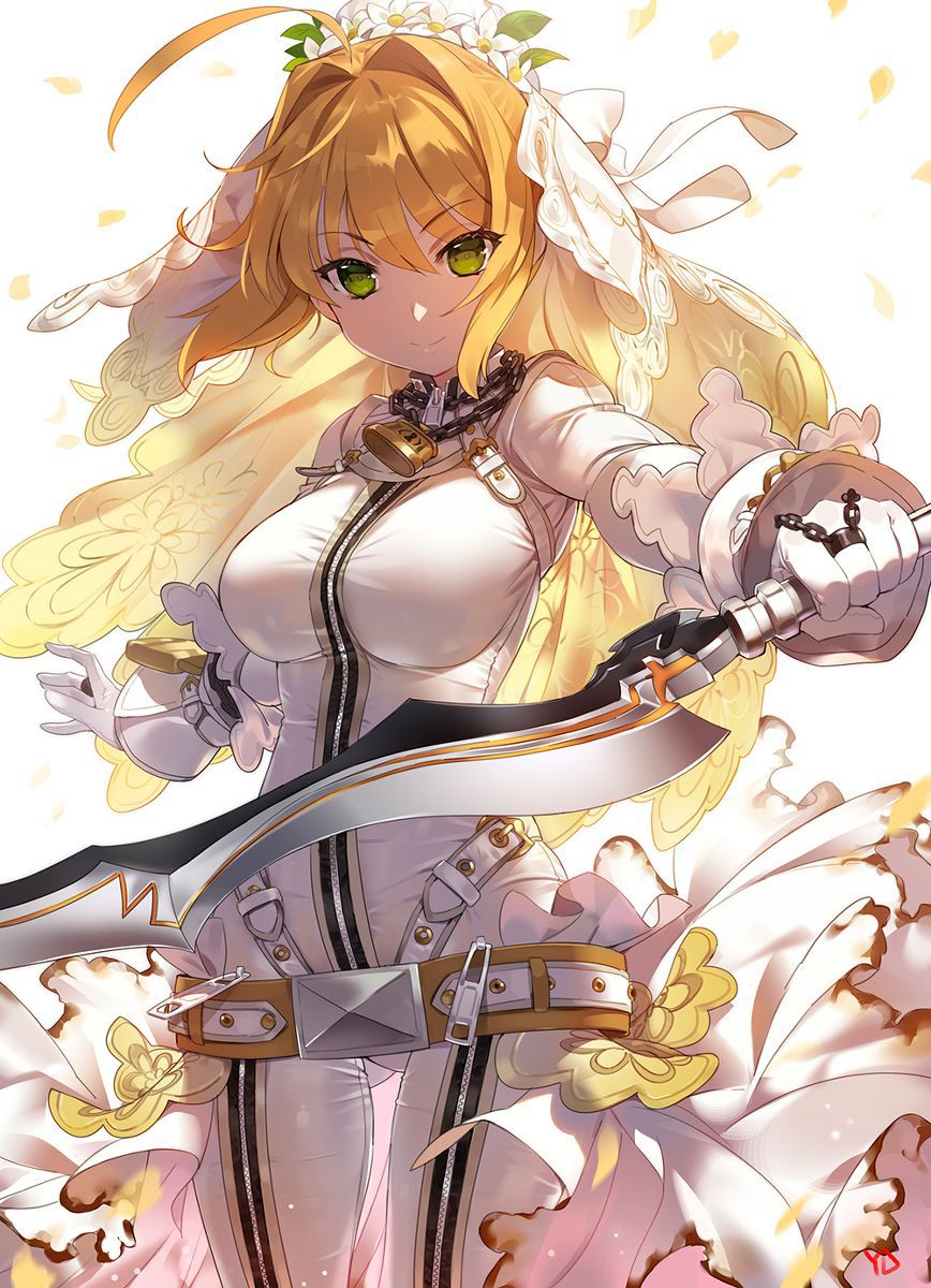 [the second] There are Fate/Grand Order(Fate/EXTRA-CCC), love of Nero Claudius, and gather up an image; No. 01 [20 pieces]! 10