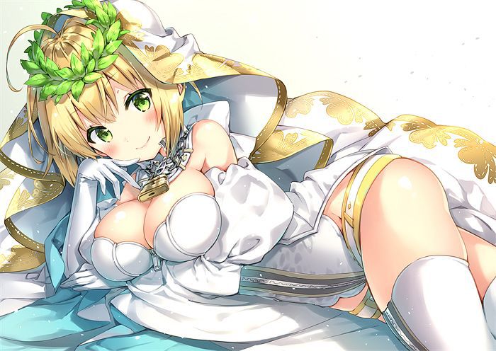[the second] There are Fate/Grand Order(Fate/EXTRA-CCC), love of Nero Claudius, and gather up an image; No. 01 [20 pieces]! 12