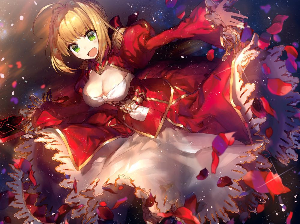 [the second] There are Fate/Grand Order(Fate/EXTRA-CCC), love of Nero Claudius, and gather up an image; No. 01 [20 pieces]! 14