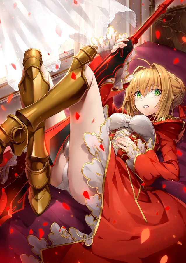 [the second] There are Fate/Grand Order(Fate/EXTRA-CCC), love of Nero Claudius, and gather up an image; No. 01 [20 pieces]! 17