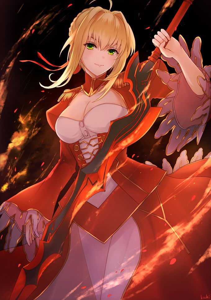 [the second] There are Fate/Grand Order(Fate/EXTRA-CCC), love of Nero Claudius, and gather up an image; No. 01 [20 pieces]! 18
