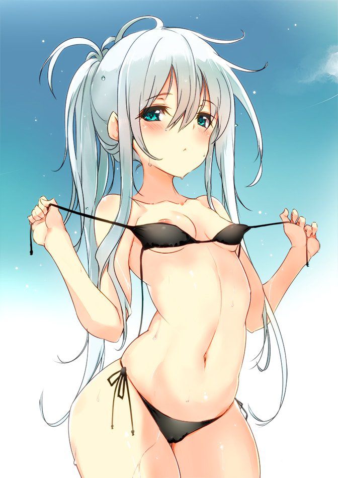 [the second, ZIP] 100 pieces of image summaries which is a stomach show of the warship this sound (ヴェールヌイ) 95