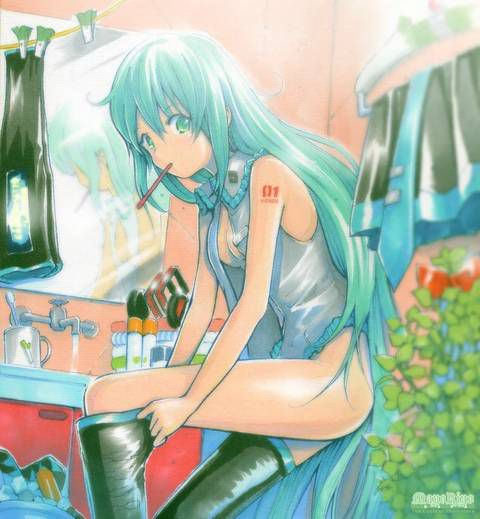 [58 pieces] A collection of second eroticism images which after all are an angel of Hatsune Miku. 18 [ボカロ] 10