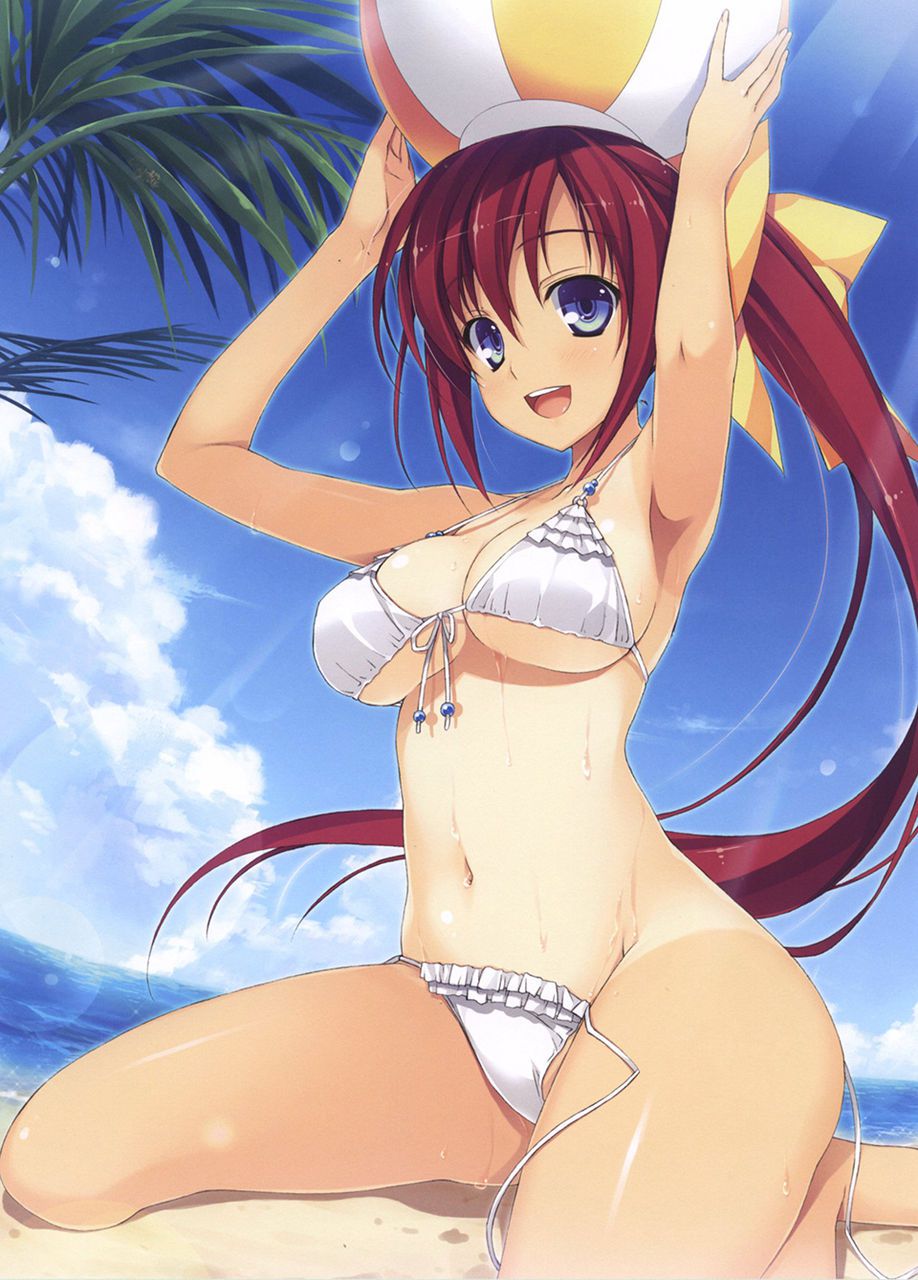 Assorted two-dimensional swimsuit beautiful girl images. Is summer long in coming? 38