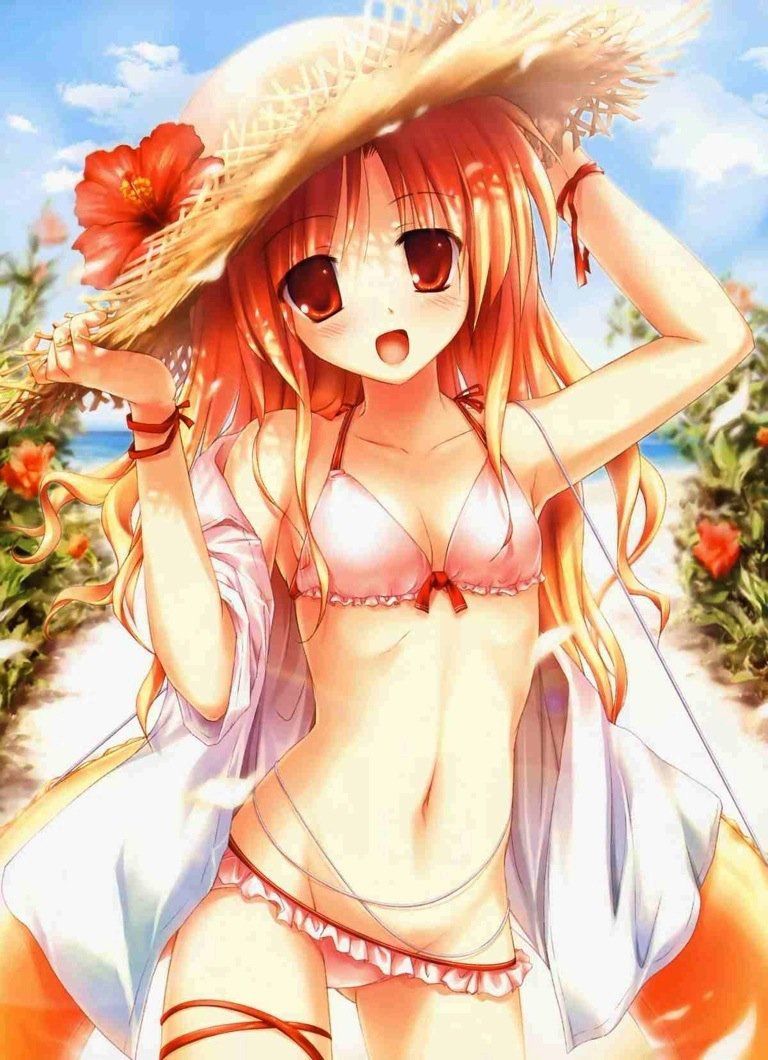 Assorted two-dimensional swimsuit beautiful girl images. Is summer long in coming? 48
