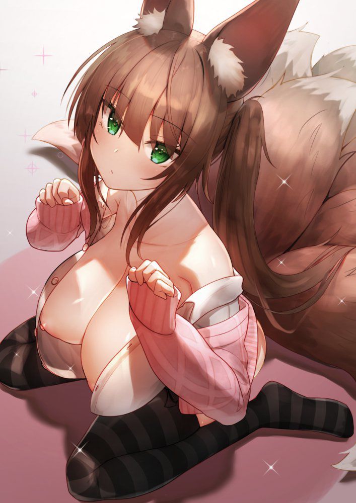 【Kemomomi】 Secondary Animal Ear Erotic Image 【Kemono Ear】 Part 4 38