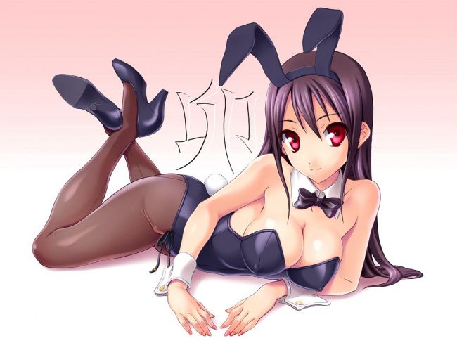 [the second] Eroticism image of the bunny girl that a high leg-cut bathing suit cutting into buttocks and オマンコ is スケベ 26