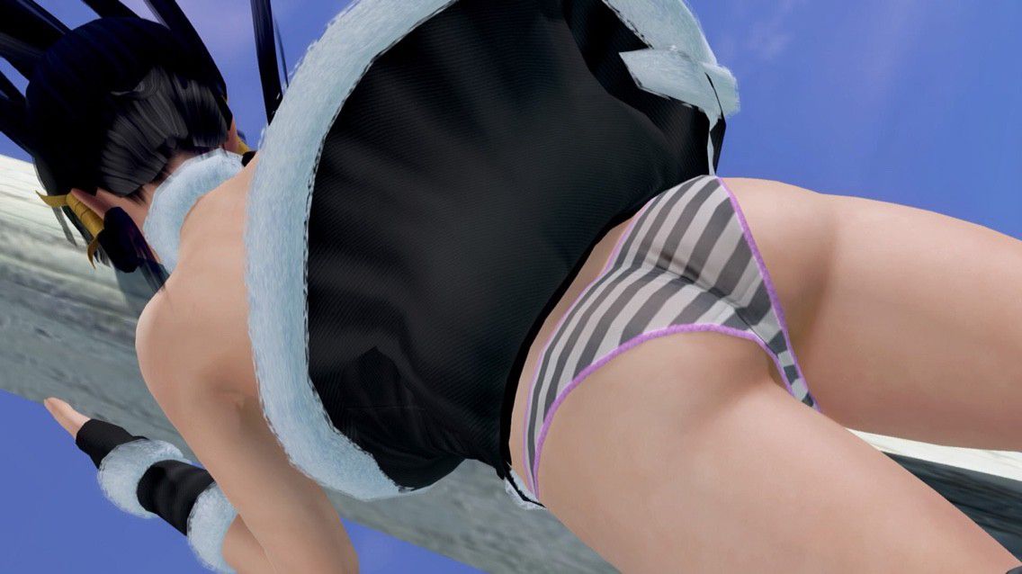 The past screenshot summary which improved in DOAX3 Twitter 29