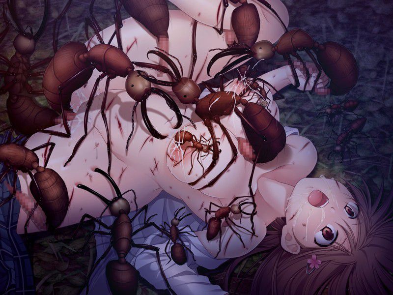[34 pieces] Insect image スレ [reading attention] to rape which it is invaded an insect and is violated, and is made to lay eggs 9