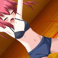 [CG] [gym suit] bloomers girl image summary (200 pieces) 55