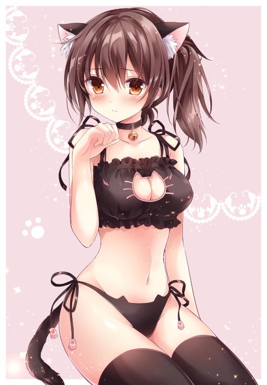 [33 pieces] After all cat lingerie is pretty, and the sexy is all right … Give me ってなる image;> < 16