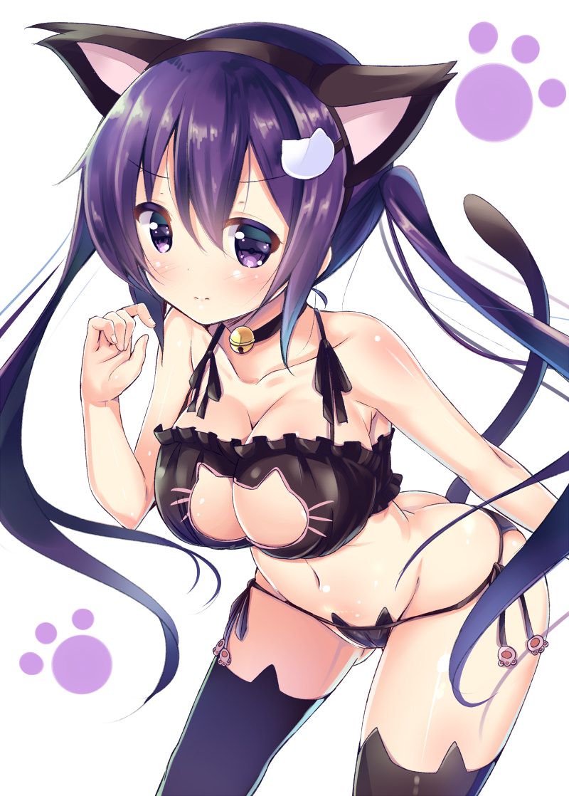 [33 pieces] After all cat lingerie is pretty, and the sexy is all right … Give me ってなる image;> < 23