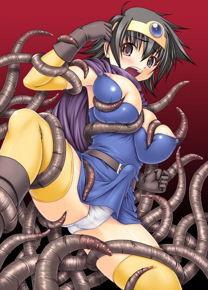 【Dragon Quest】Cute and cute secondary erotic images of female heroes 2