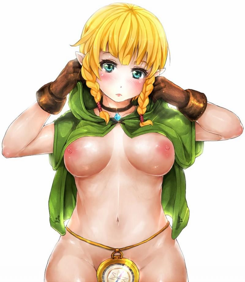 How about a secondary erotic image of The Legend of Zelda that could be made into Okazu? 20