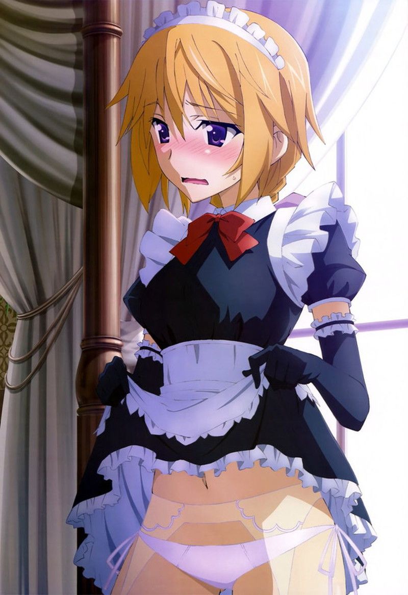[image] Which animated cartoon character is it when I look good with the costume play of maid clothes most? 33