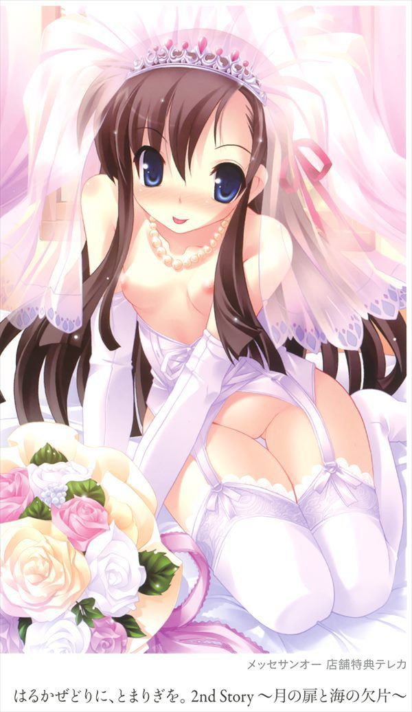[rainbow eroticism image] eroticism image 45 pieces | which wants to have sex with the girl dressed in the wedding dress Part3 43