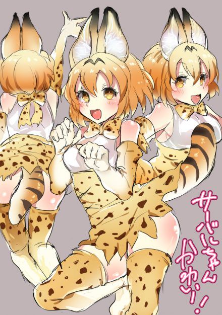 [beast friends] please give me an eroticism image of the serval! 13