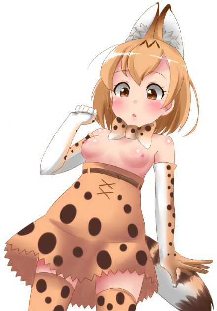 [beast friends] please give me an eroticism image of the serval! 3