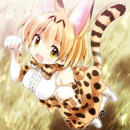 [beast friends] please give me an eroticism image of the serval! 43