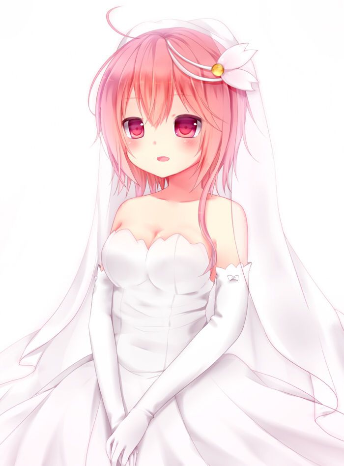 [June bride] 50 pieces of wedding dress images of the warship daughter 12