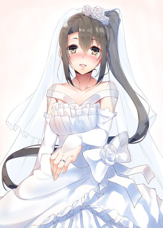 [June bride] 50 pieces of wedding dress images of the warship daughter 3