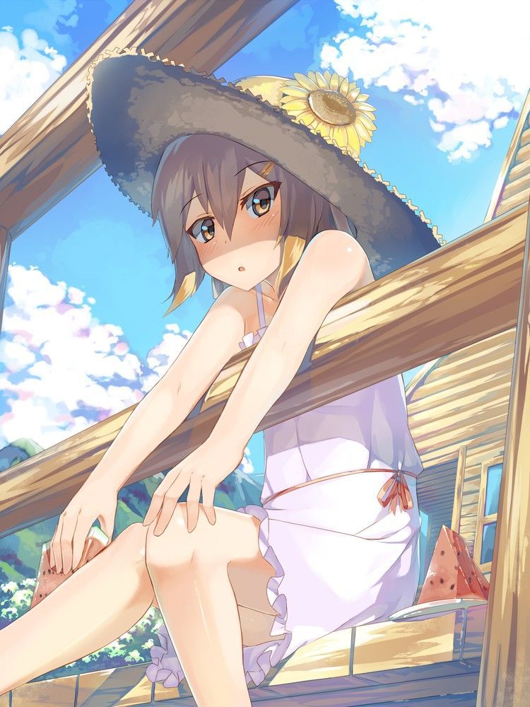 It is 50 pieces of images of a warship daughter and the straw hat [on August 10 a hat Rat day] 4