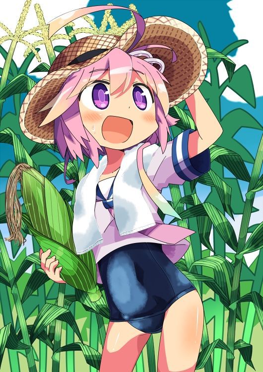 It is 50 pieces of images of a warship daughter and the straw hat [on August 10 a hat Rat day] 9