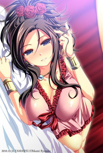 Dragon Quest images that are so erotic are illegal! 13