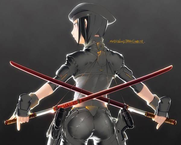 [50 pieces] A collection of sword X two dimensions girl images. 11 [weapon] 3