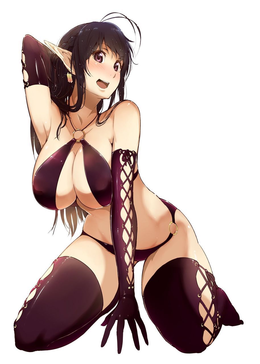 I'm going to put up an erotic cute image of an elf! 15