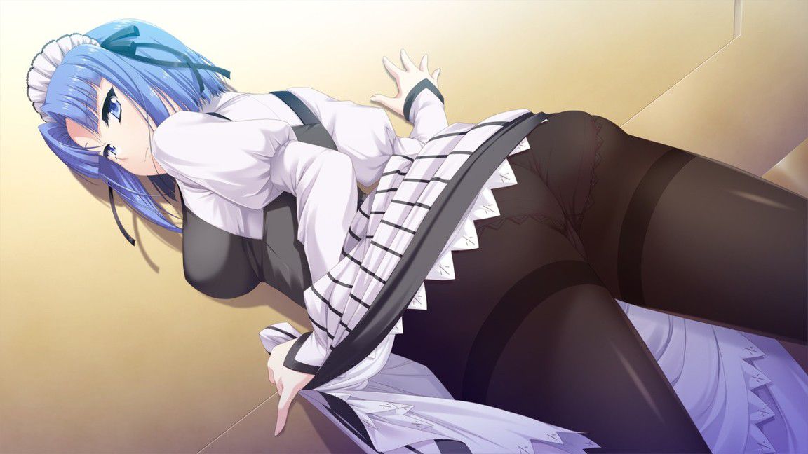 [Second image] best hentai maid or a picture. 14