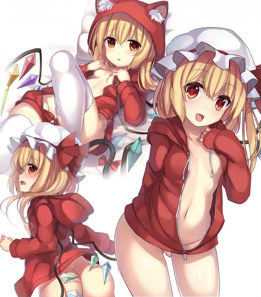 Publish the image folder of the Touhou Project! 12