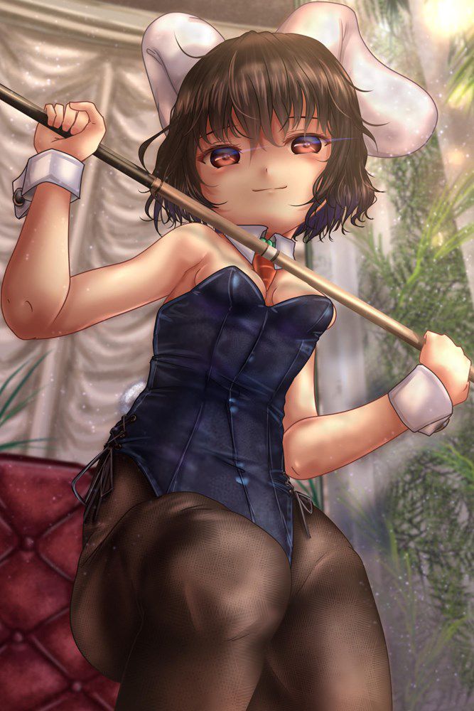 People who want to see erotic images of the Touhou Project gather! 6