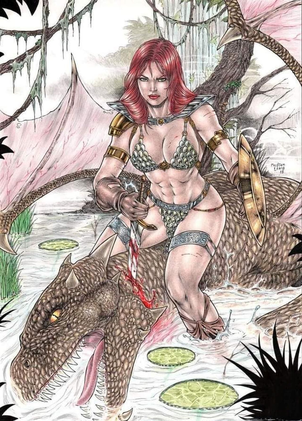 Red Sonja done by Various Artist 23