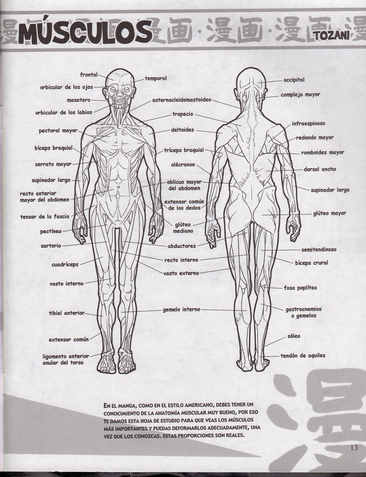 DibujArte Edicion Normal - 21 al 50 / de 50 [Spanish] 103