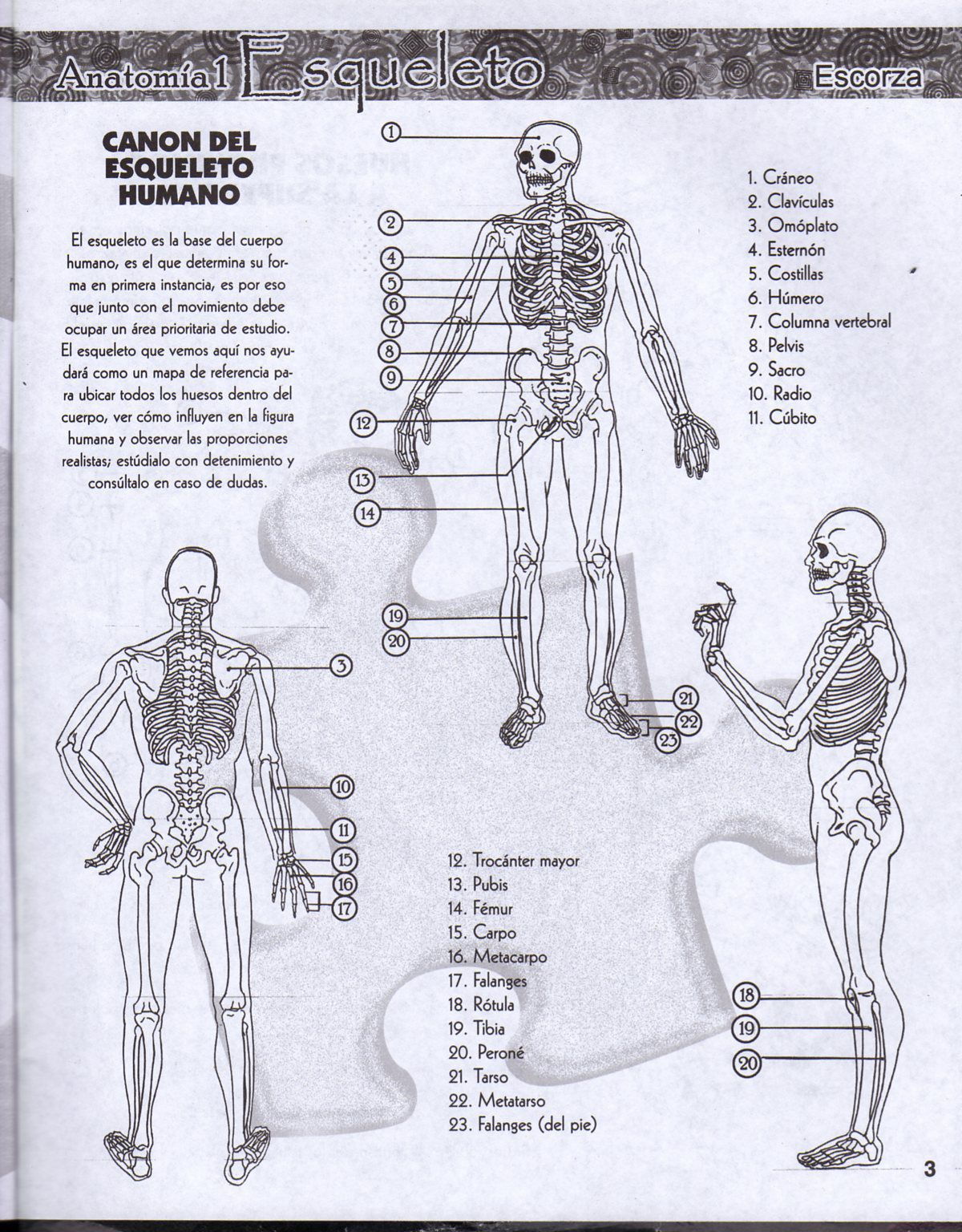 DibujArte Edicion Normal - 21 al 50 / de 50 [Spanish] 181