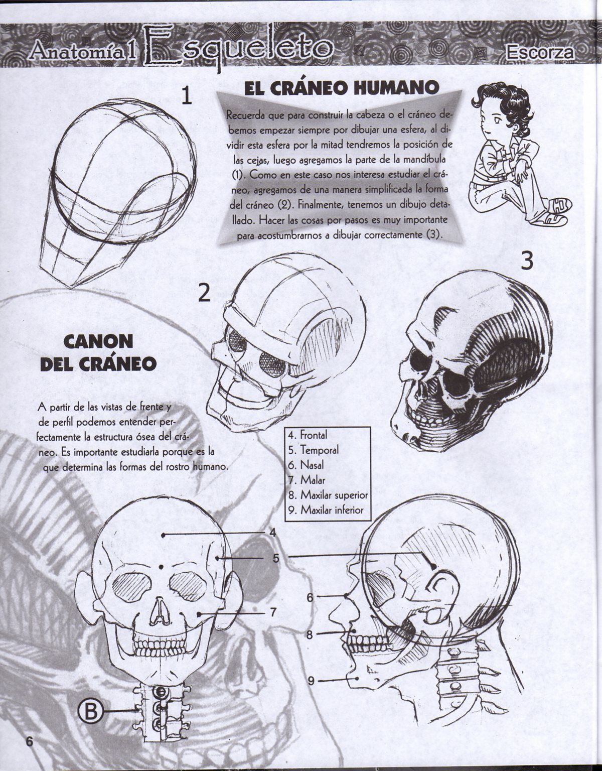 DibujArte Edicion Normal - 21 al 50 / de 50 [Spanish] 184