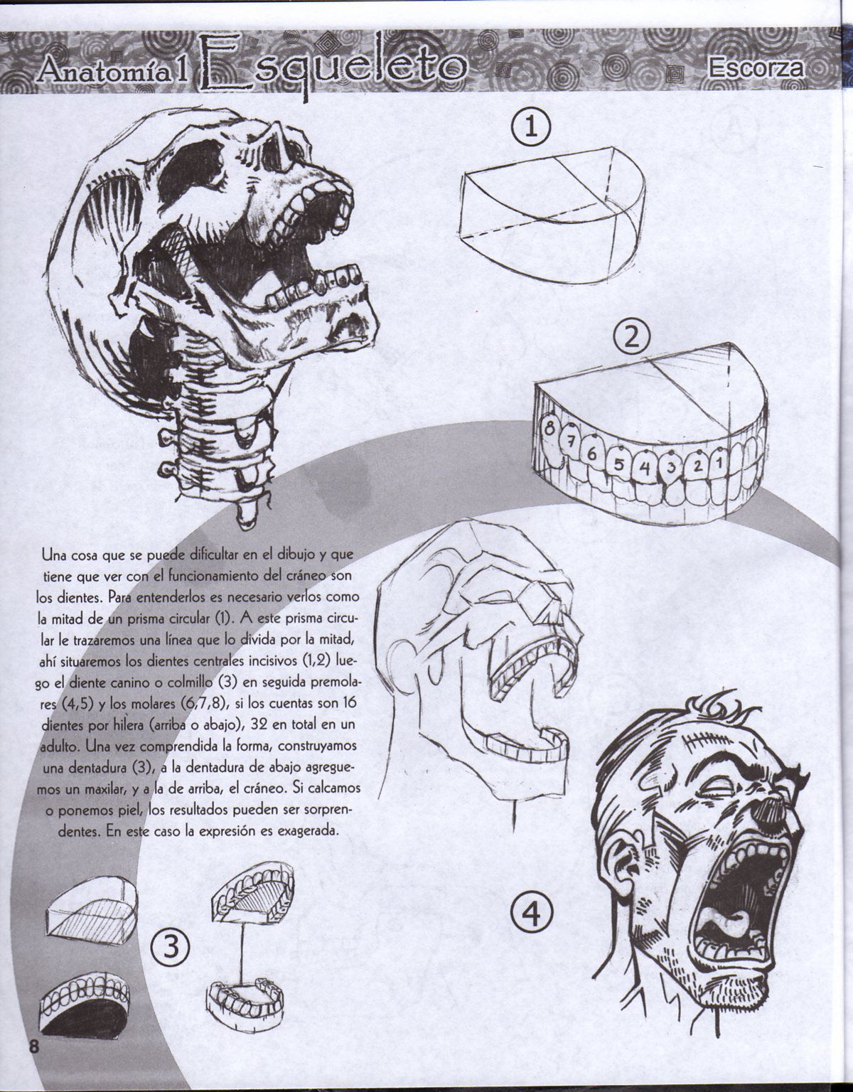 DibujArte Edicion Normal - 21 al 50 / de 50 [Spanish] 186