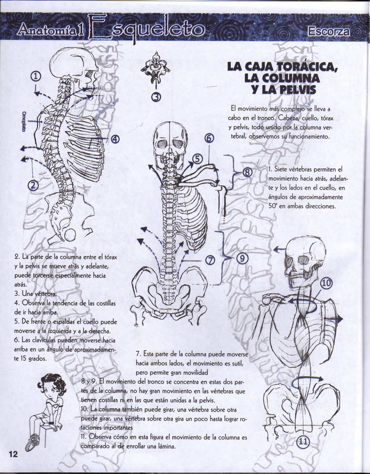 DibujArte Edicion Normal - 21 al 50 / de 50 [Spanish] 190