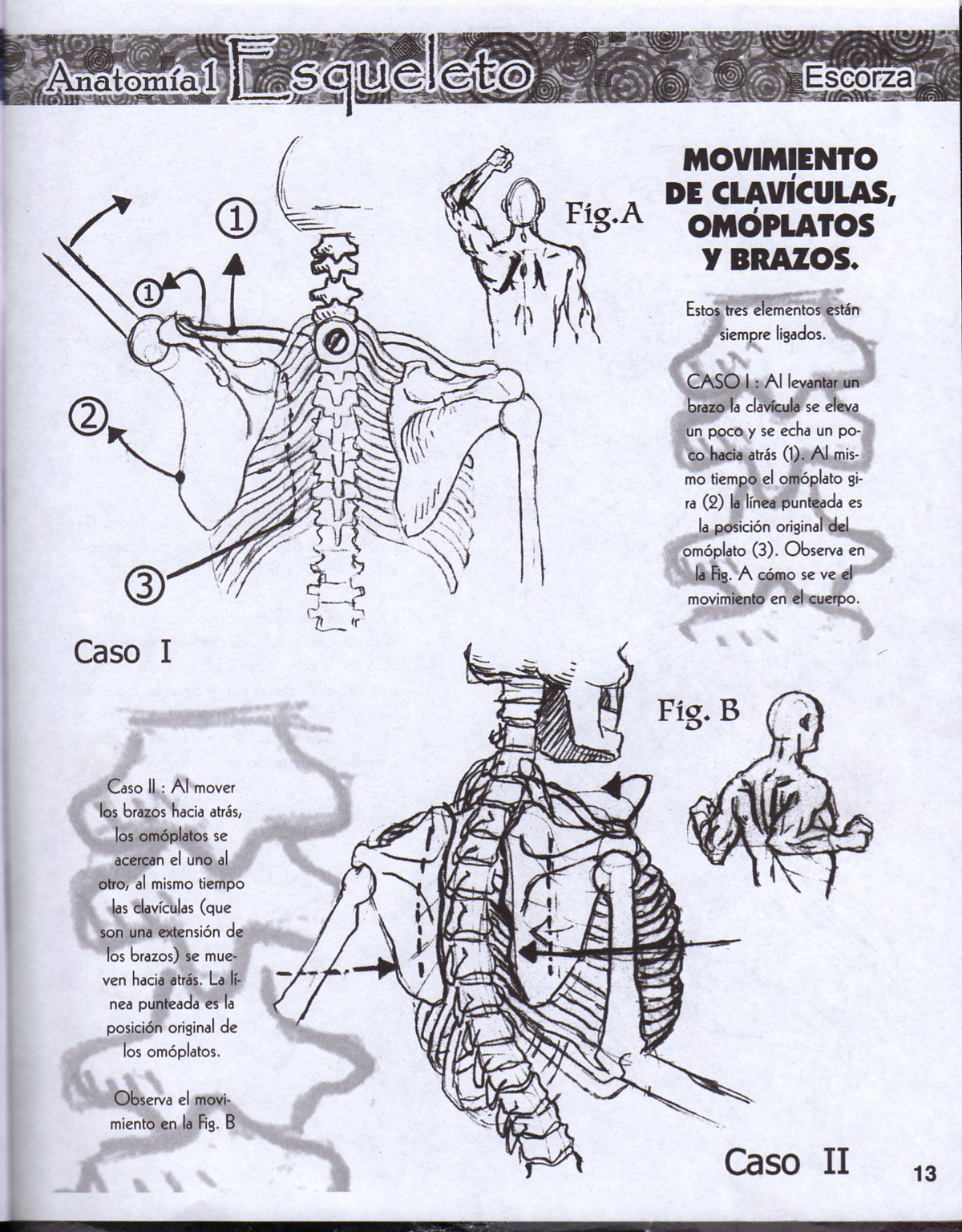 DibujArte Edicion Normal - 21 al 50 / de 50 [Spanish] 191