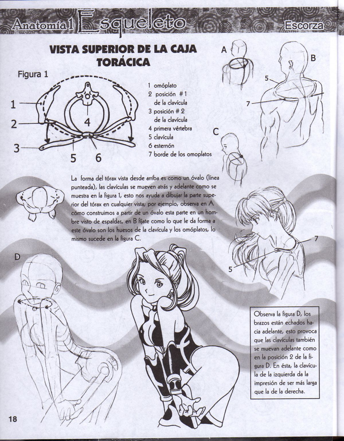 DibujArte Edicion Normal - 21 al 50 / de 50 [Spanish] 196