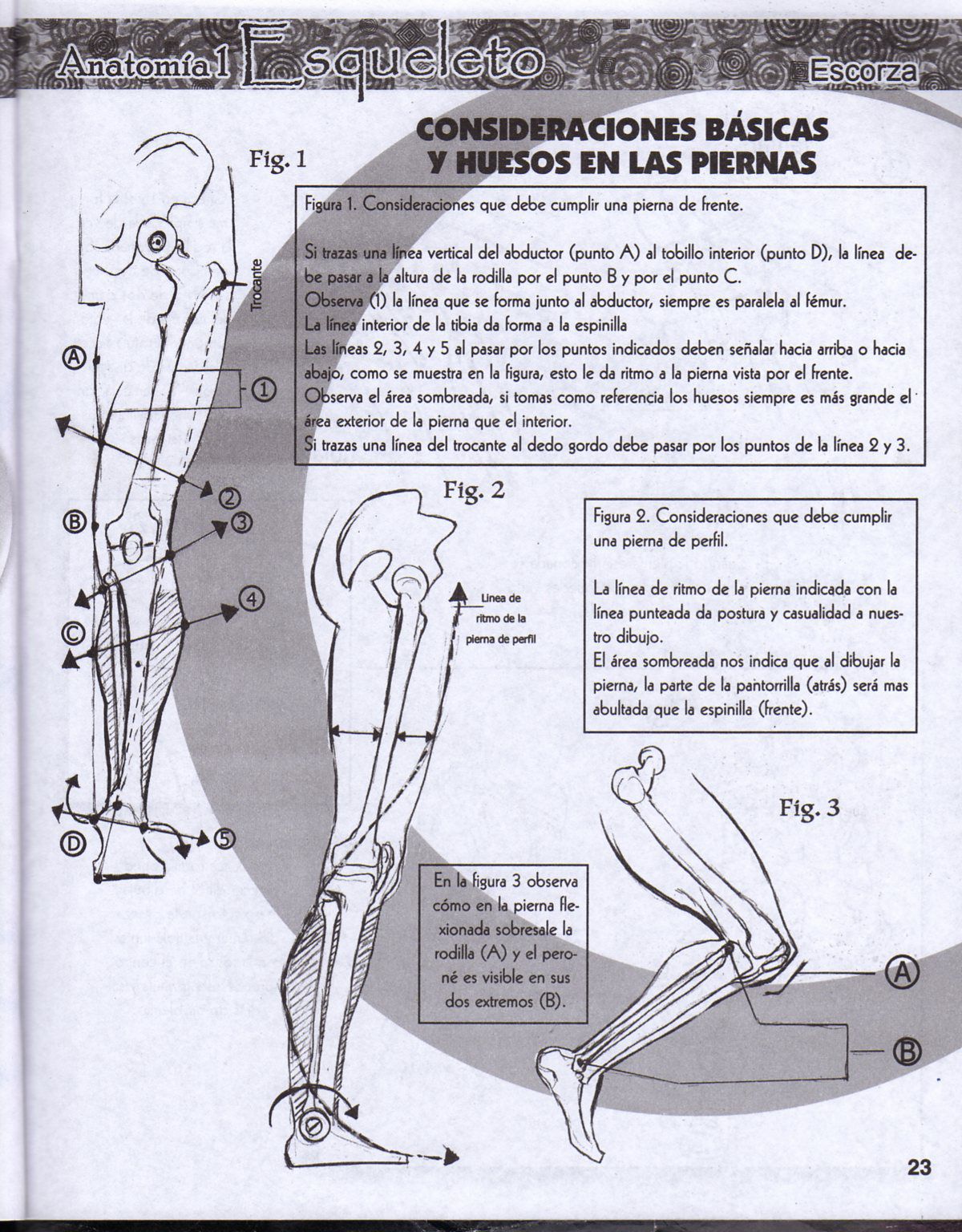 DibujArte Edicion Normal - 21 al 50 / de 50 [Spanish] 201