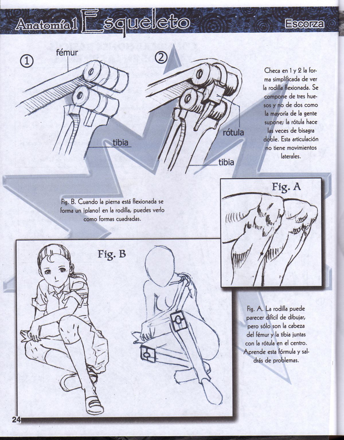 DibujArte Edicion Normal - 21 al 50 / de 50 [Spanish] 202