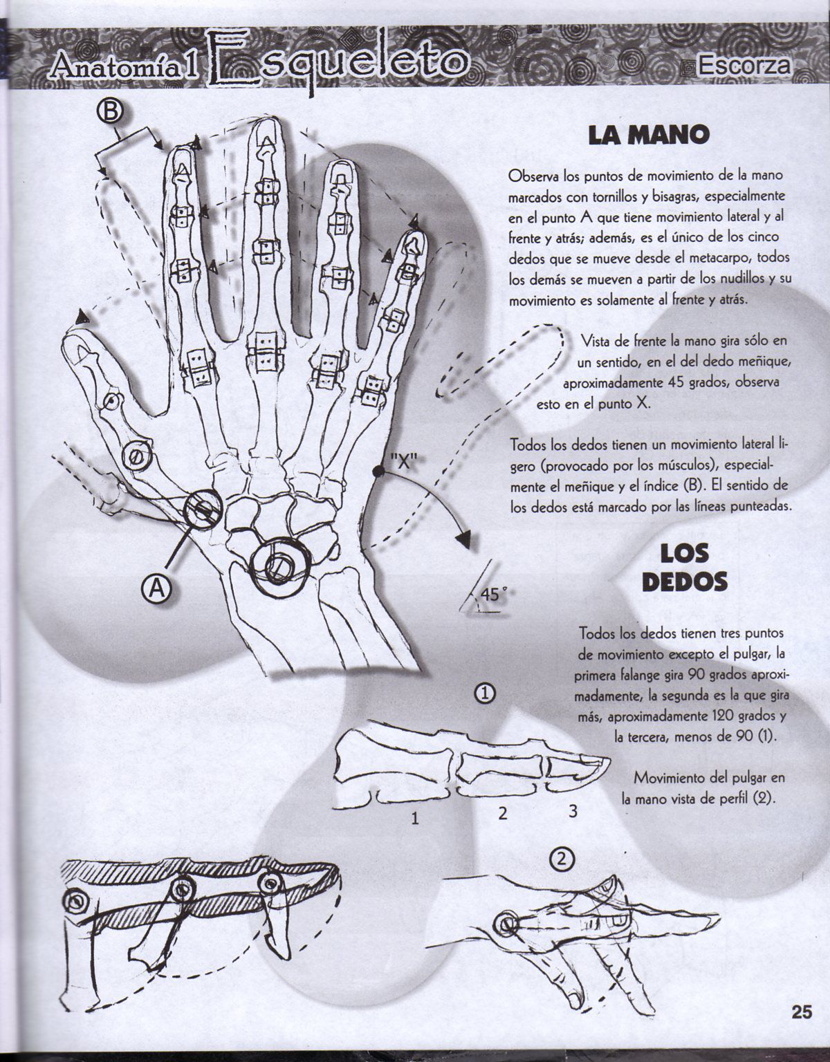 DibujArte Edicion Normal - 21 al 50 / de 50 [Spanish] 203