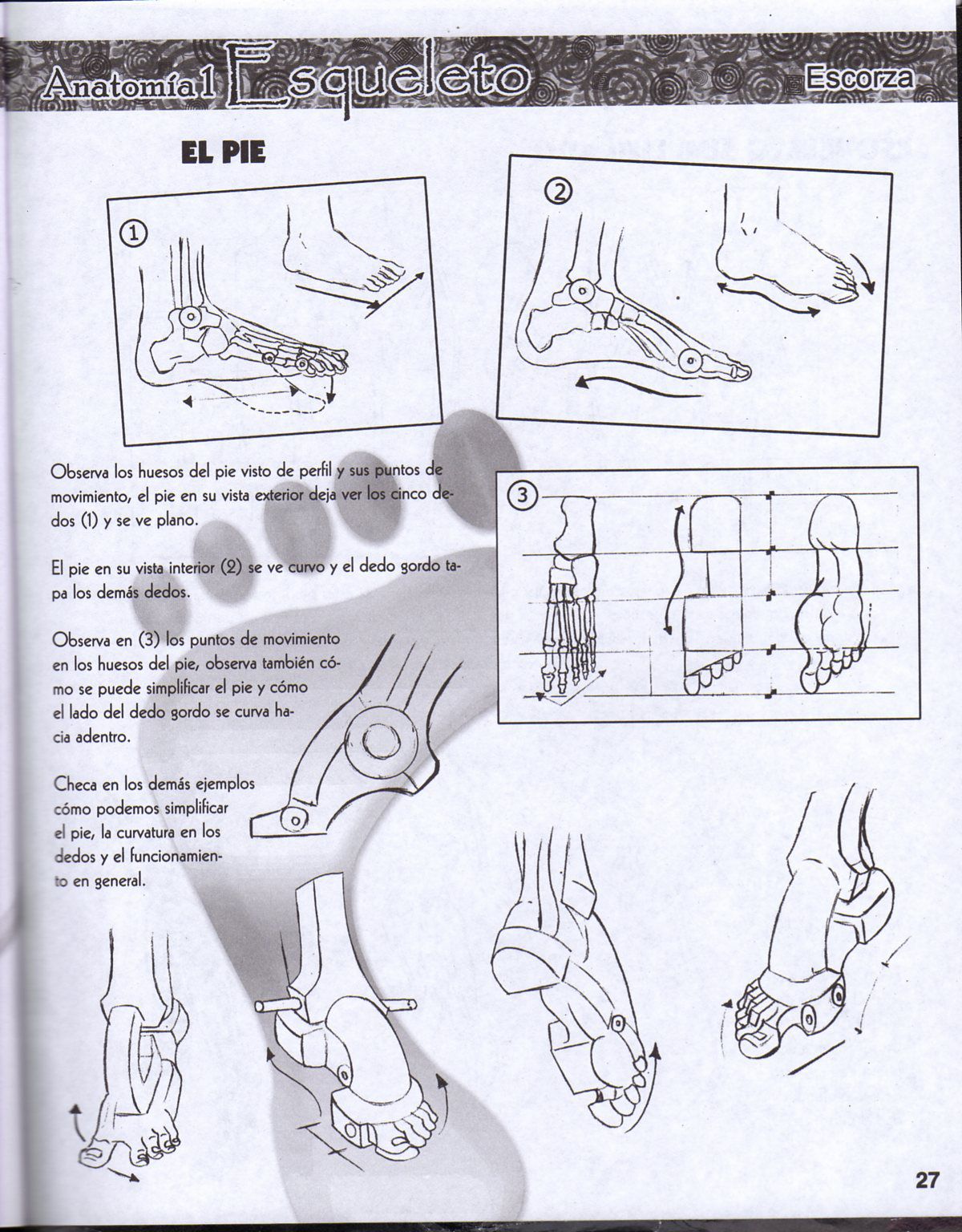 DibujArte Edicion Normal - 21 al 50 / de 50 [Spanish] 205