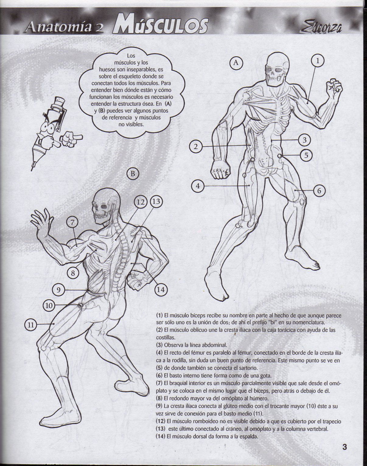 DibujArte Edicion Normal - 21 al 50 / de 50 [Spanish] 268