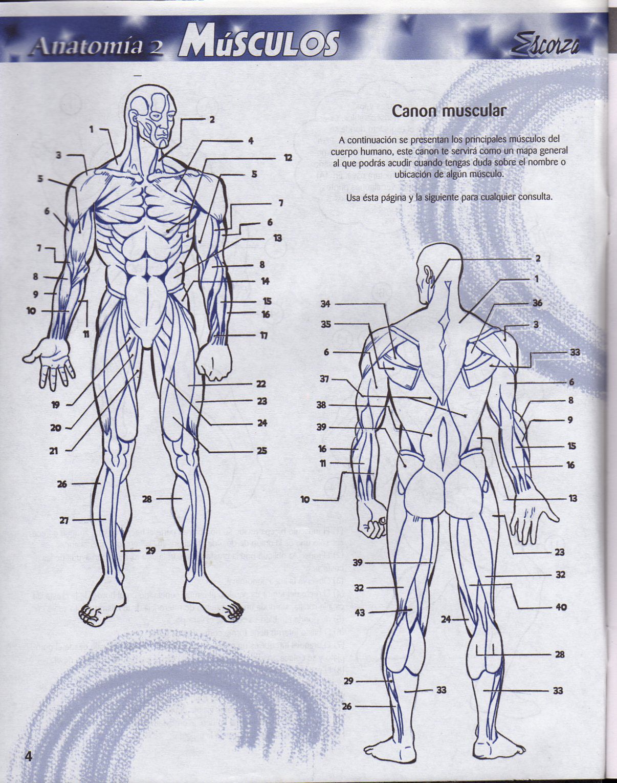 DibujArte Edicion Normal - 21 al 50 / de 50 [Spanish] 269