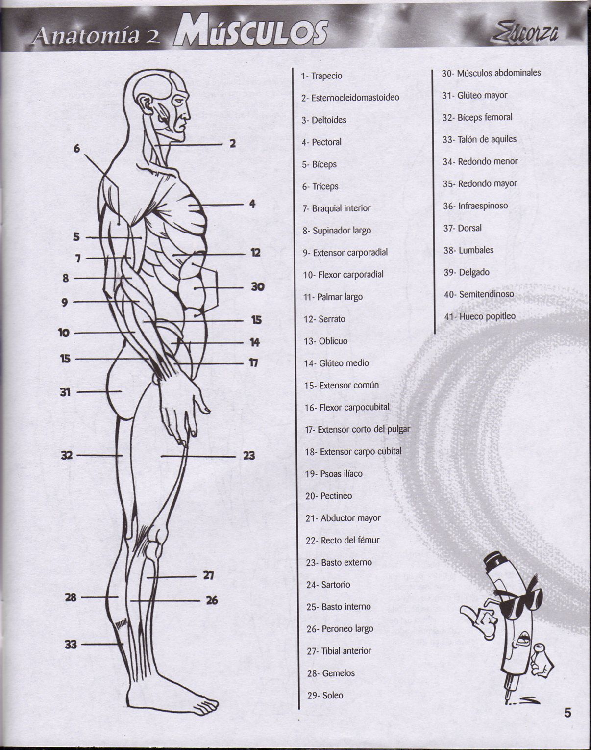 DibujArte Edicion Normal - 21 al 50 / de 50 [Spanish] 270